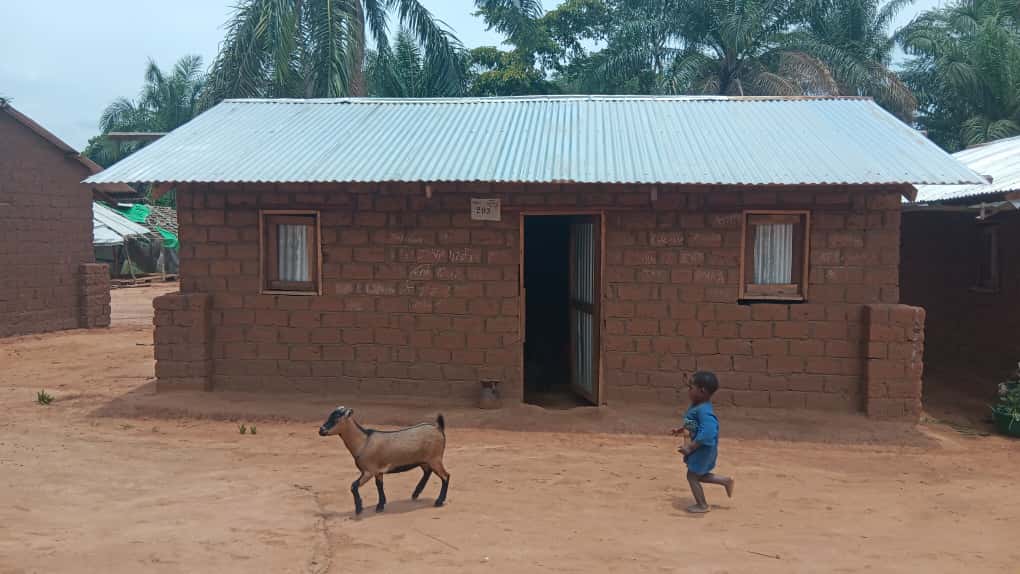 radiookapi's tweet photo. À Nyunzu (Tanganyika), plus de 700 maisons construites au village de Kabeya Mukena pour les retournés Twa et Bantou grâce au Fonds humanitaire de l’ONU. Un symbole fort de résilience et de paix communautaire. #RDC #Nyunzu #Paix #Résilience #Twa #Bantou #FondsHumanitaire #Tanganyika
https://t.co/4BoO9iyPFi