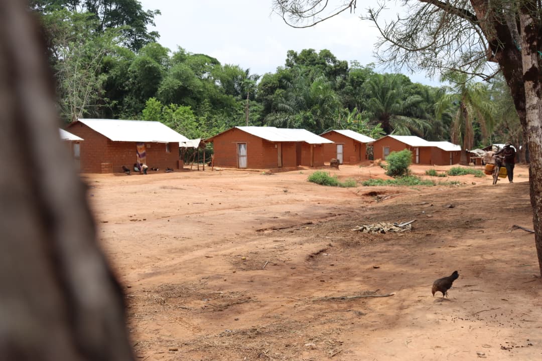 radiookapi's tweet photo. À Nyunzu (Tanganyika), plus de 700 maisons construites au village de Kabeya Mukena pour les retournés Twa et Bantou grâce au Fonds humanitaire de l’ONU. Un symbole fort de résilience et de paix communautaire. #RDC #Nyunzu #Paix #Résilience #Twa #Bantou #FondsHumanitaire #Tanganyika
https://t.co/4BoO9iyPFi
