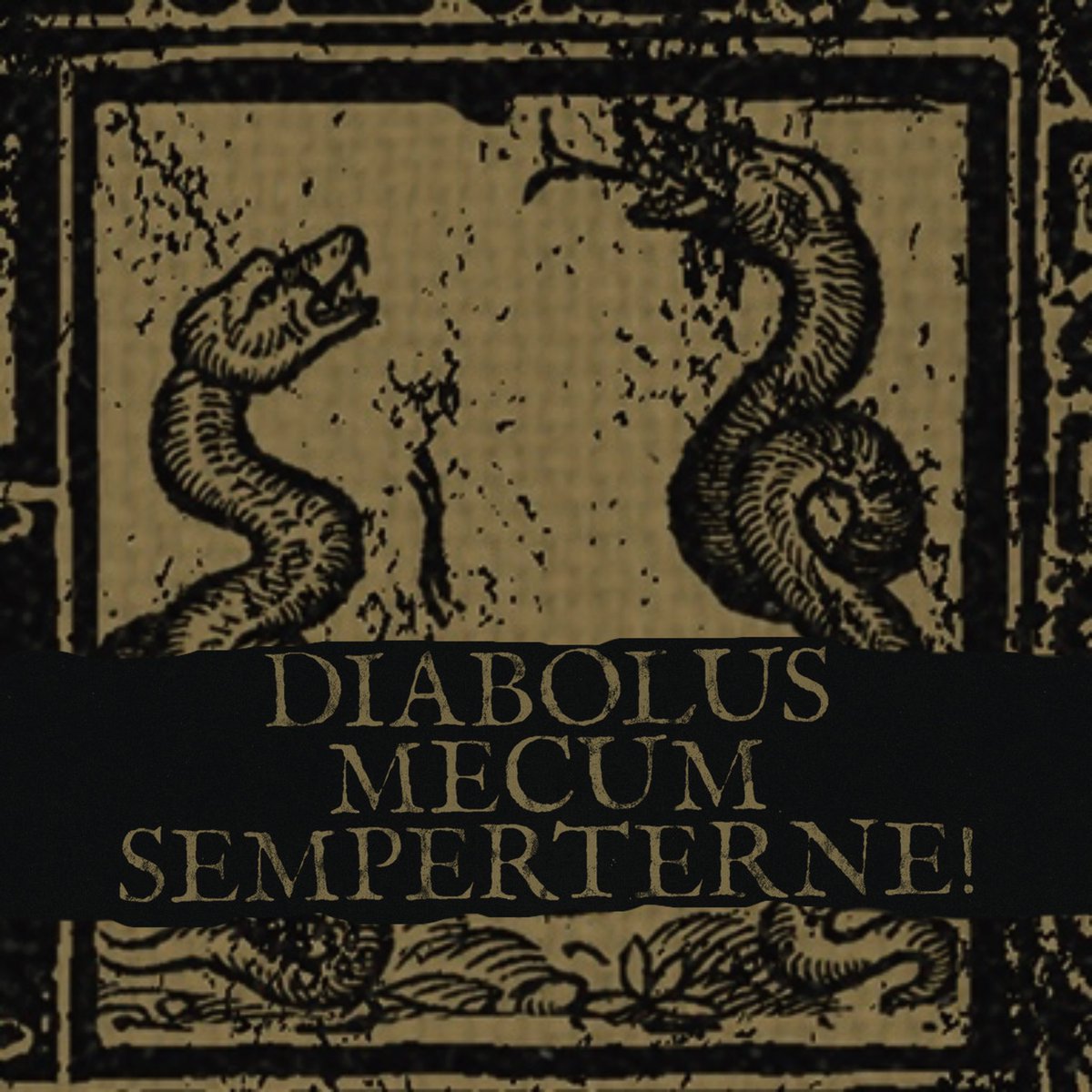 Terratur Possessions tweet media