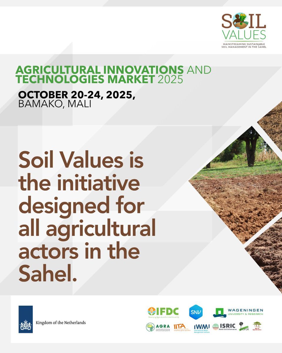 IFDC (@ifdcglobal) on Twitter photo At #MITA2025, Soil Values joins partners from <a href="/FARAinfo/">FARA Africa</a>, <a href="/IITA_CGIAR/">IITA</a>, and <a href="/CIFOR_ICRAF/">CIFOR-ICRAF</a> to discuss pathways for scaling soil health solutions across Africa.
A shared vision for a sustainable, productive, and inclusive future.
#SoilInitiativeForAfrica #SoilFertility #Sahel At #MITA2025, Soil Values joins partners from <a href="/FARAinfo/">FARA Africa</a>, <a href="/IITA_CGIAR/">IITA</a>, and <a href="/CIFOR_ICRAF/">CIFOR-ICRAF</a> to discuss pathways for scaling soil health solutions across Africa.
A shared vision for a sustainable, productive, and inclusive future.
#SoilInitiativeForAfrica #SoilFertility #Sahel