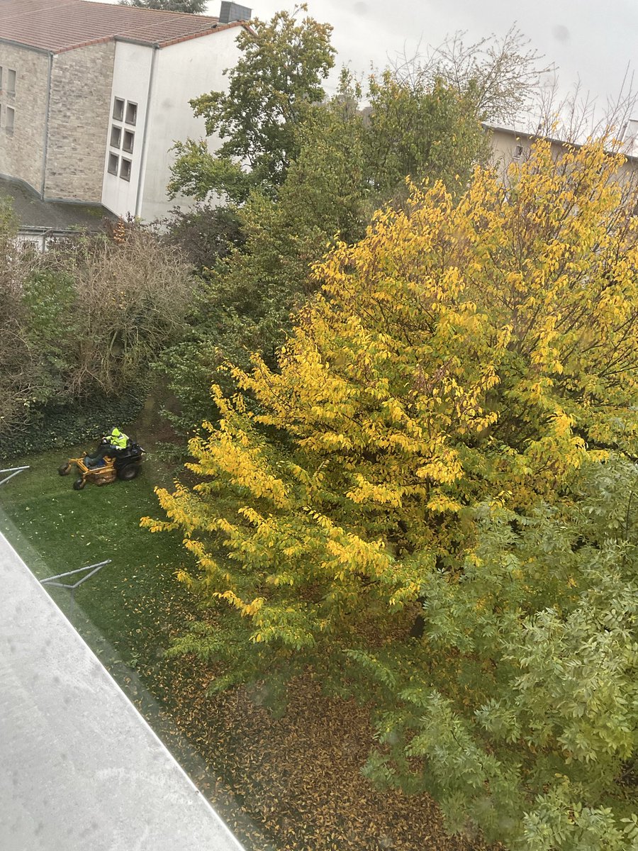 Warum wird hier im Oktober im Regen der Rasen gemäht? 🙉