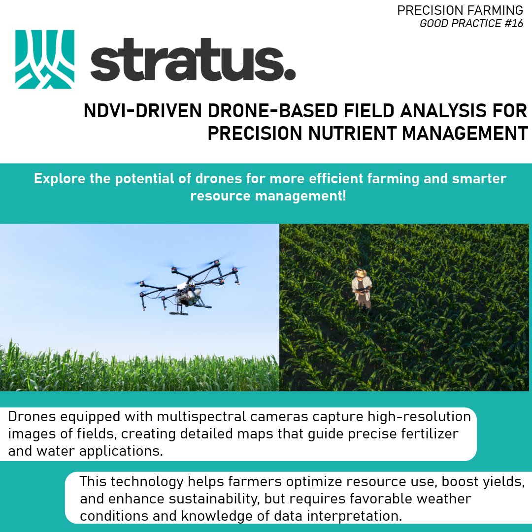 STRATUS is sharing the knowledge collected accross Eurpe to promote a more sustainable way to use fertilizers building a better future for agriculture.

👇Learn more here 👇
stratusproject.eu/wp-content/upl…
