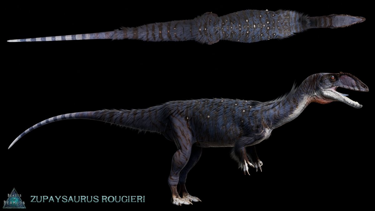 Acro_Atokensis's tweet image. 【恐竜ゲーム最新情報】
Beasts Of Bermuda 公式Discordより
ズパイサウルスの制作が開始
スカベンジャーや擬態などこれまでにない能力になりそうだ。
また背中の羽毛の有無などのカスタマイズもあるようだ
実装は来年夏頃だと思われる。
#beastsofbermuda