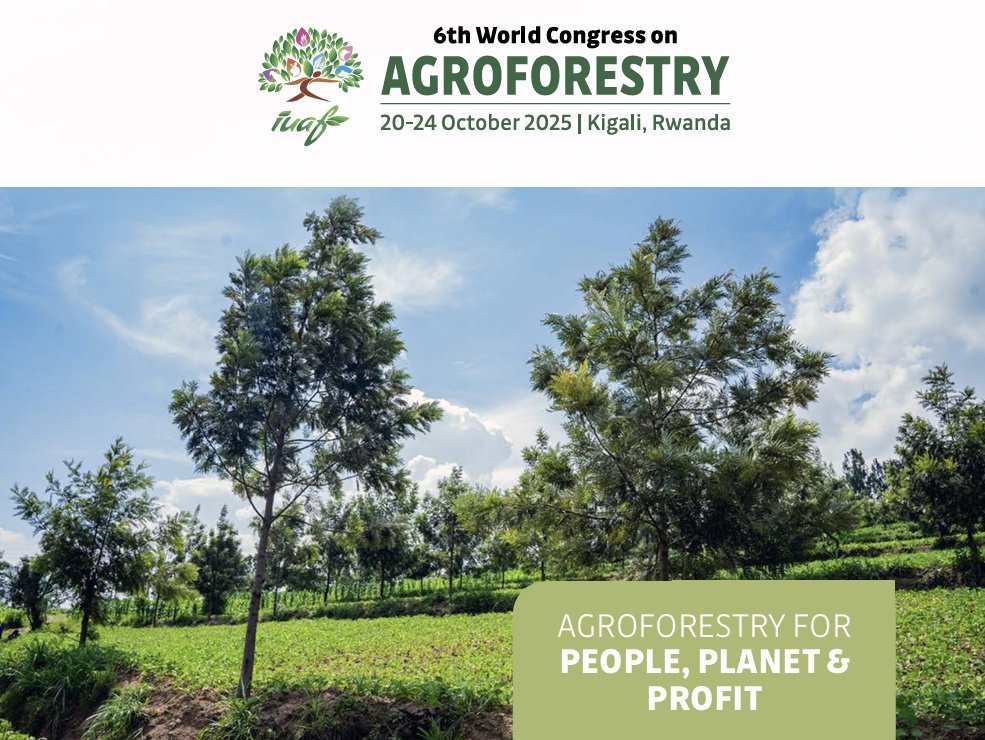 🎥🌍 #FarmTree will be presented in #WCA2025 via a joint session by <a href="/CIFOR_ICRAF/">CIFOR-ICRAF</a>  <a href="/Tropenbos/">Tropenbos International</a> !

📅 Oct 22 | Kigali 
🎯 Focus: Farmers’ realities in #agroforestry adoption

Interested?
🎙️ Join our Oct 23 #webinar: agroreforest.eu/event/farmtree…

#ReForest #ClimateAction #FarmTree