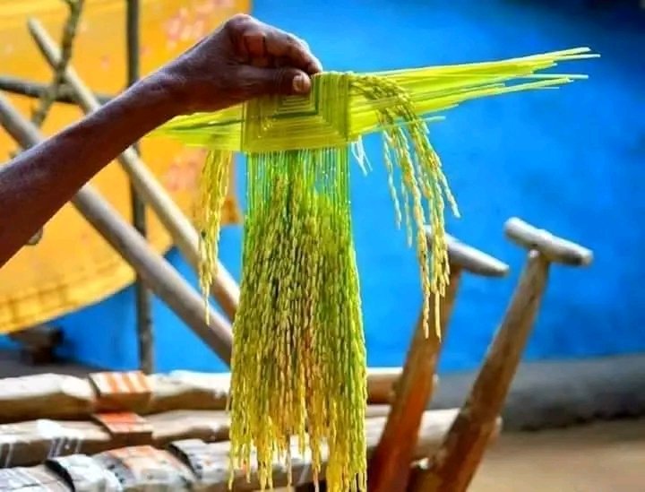 TRI/CRI वाले को आज के दिन कुड़मि का गांव जरूर आना चाहिए। ताकि पता चल सके कुडमि क्या है।
#KudmiTribe #KudmiST