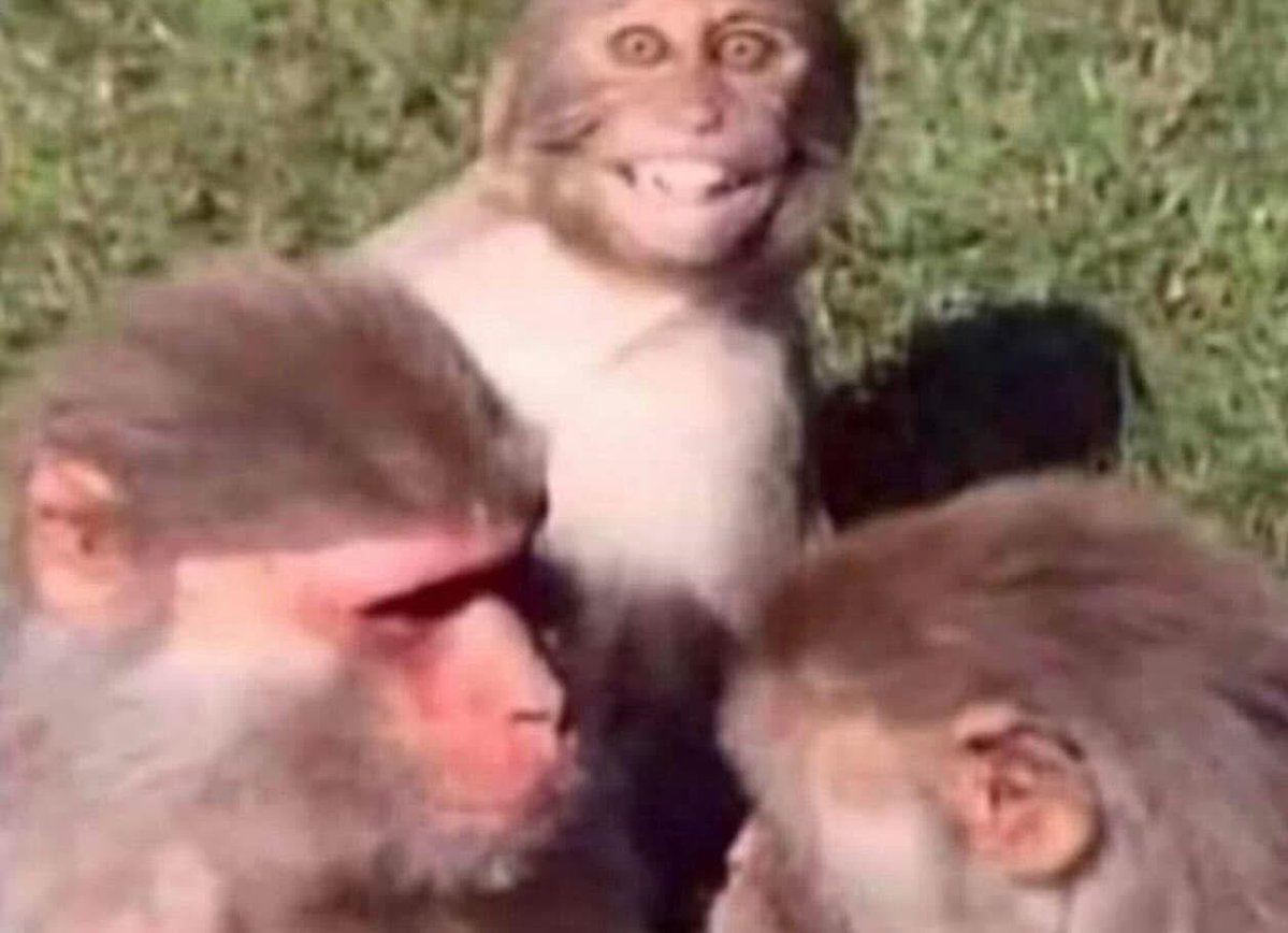 JDH (@jdmatrixwave) on Twitter photo Me about to make a situation worse with some ill timed sarcasm Me about to make a situation worse with some ill timed sarcasm
