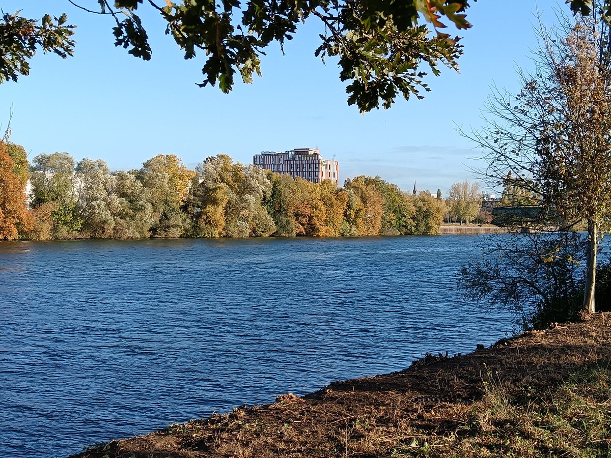 Autumn by the Seine; hard to believe there was a deadly tornado just across the way last night. The circus is in town, too.