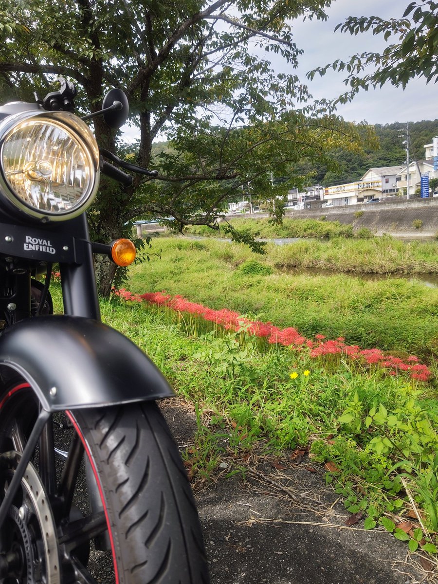 ねここねこ on X