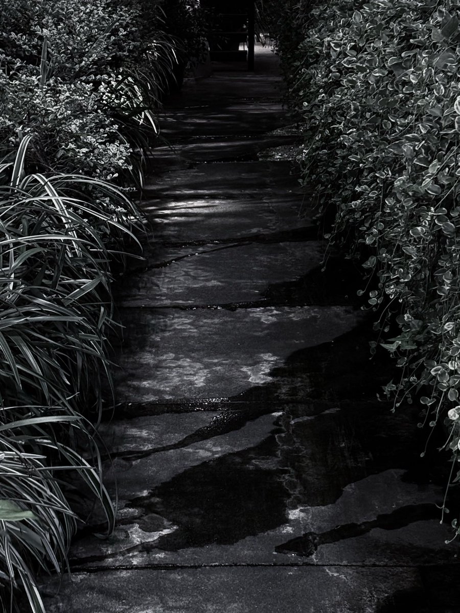 Emma (@sqnq_si3_7et) on Twitter photo 