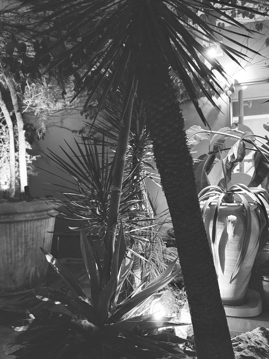 Emma (@sqnq_si3_7et) on Twitter photo 