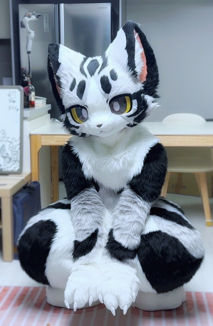 been a first time to wearing Cheese🙂
#FursuitEveryday #fursuit #起司猫
