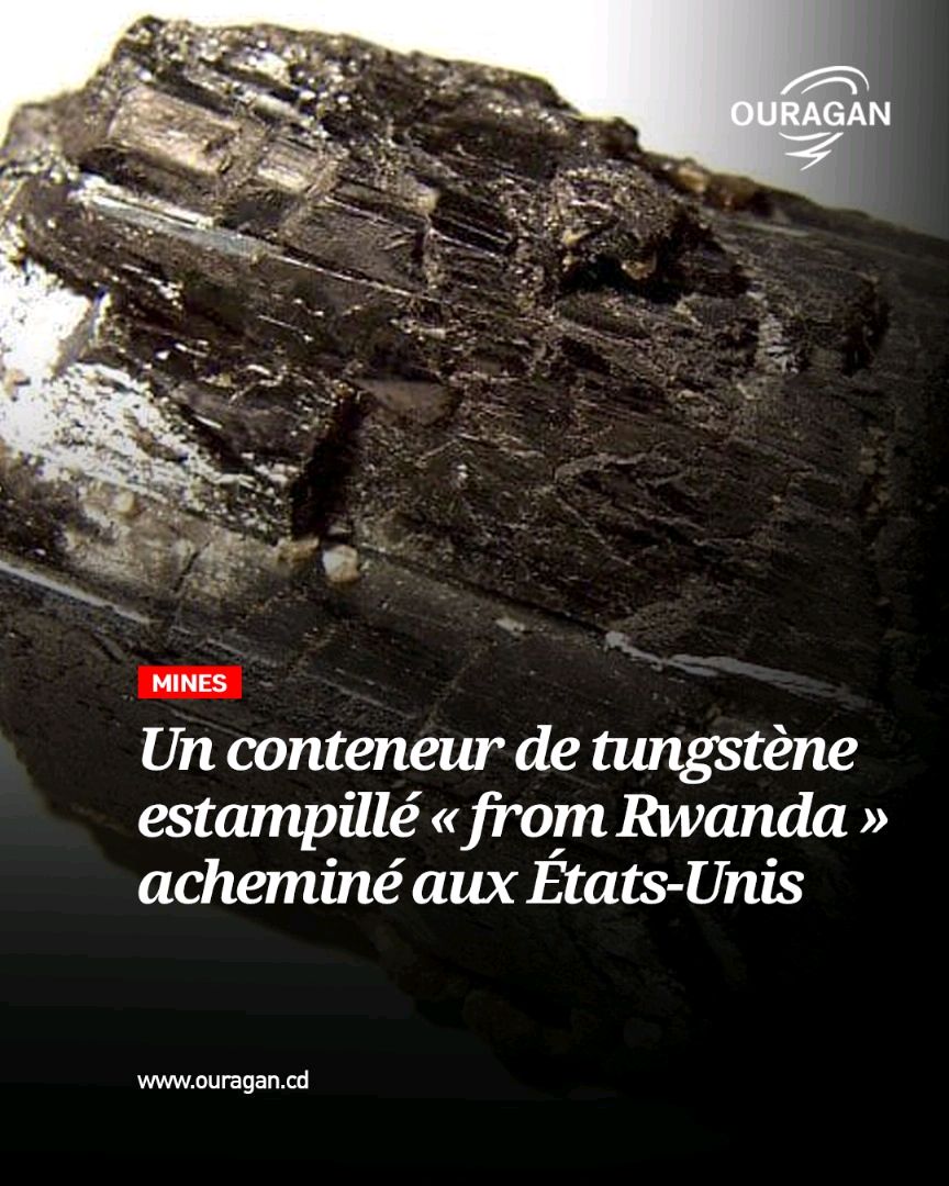 En tout cas, Kigali avait déjà tout anticipé. Juin 2025, Paul Kagame vante la mine de NyakabingoTrinity metals, une joint-venture avec un sud-africain (blanc), Peter Geleta, dans le secteur Shyorongi, district de Rulindo, province du Nord.
ouragan.cd/2025/10/un-con…