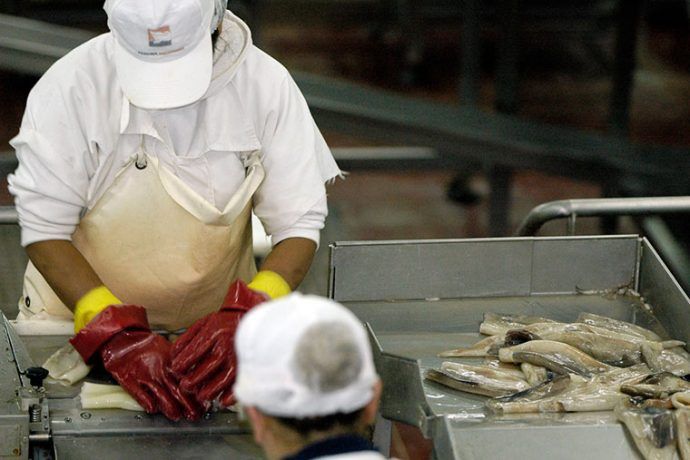 Eliminan ‘Acta de Comprobación’ de envío de Illex a planta para reproceso | revistapuerto.com.ar/2025/10/elimin…