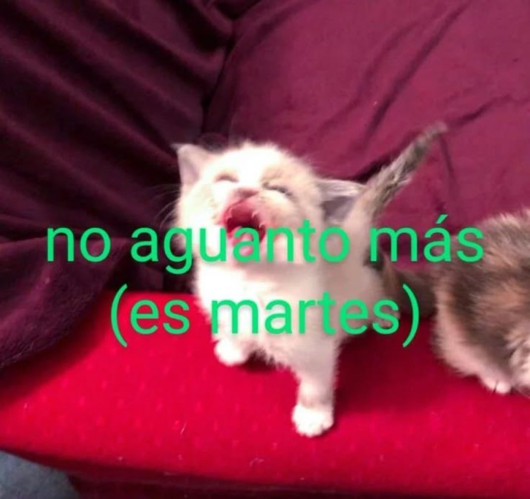 piña sin pizza (@skereunpesado) on Twitter photo  piña sin pizza (@skereunpesado) on Twitter photo
