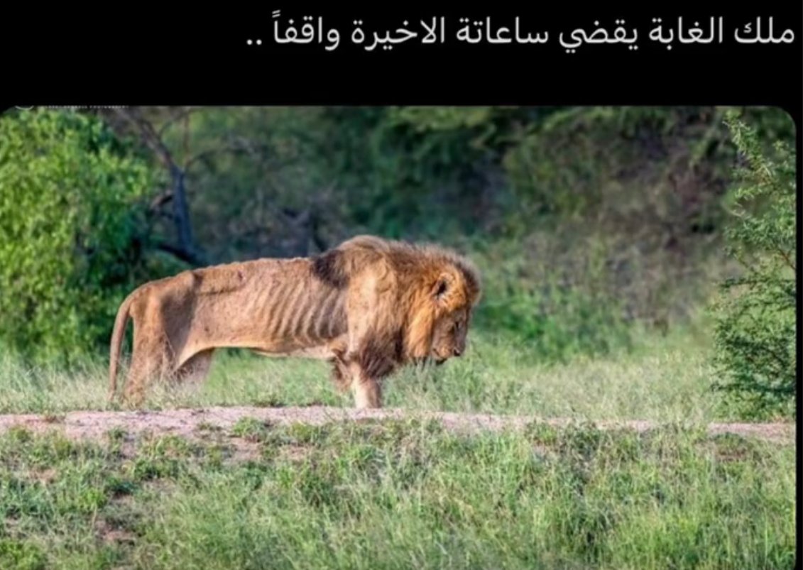 1INAF tweet media