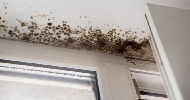 Preventing damp and mould is key to healthier housing 

buff.ly/3tnLRpc