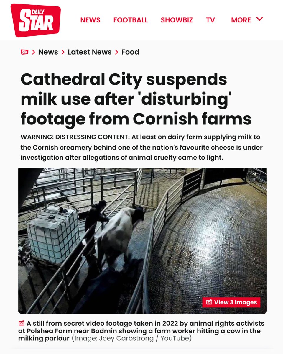 JoeyCarbstrong's tweet image. Incredibly heartening to see the large mainstream media coverage of the terrible acts committed by these high-profile “farmers” against these defenceless animals.

It’s clear that the public are disgusted by what is taking place in secrecy and wherever you fall on the issue of…