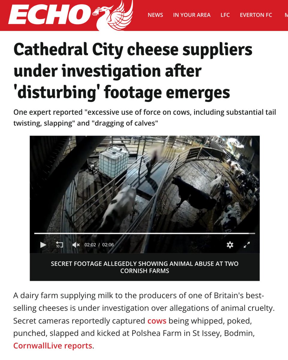 JoeyCarbstrong's tweet image. Incredibly heartening to see the large mainstream media coverage of the terrible acts committed by these high-profile “farmers” against these defenceless animals.

It’s clear that the public are disgusted by what is taking place in secrecy and wherever you fall on the issue of…