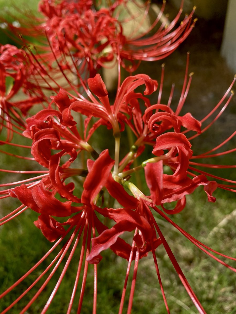 ゆきそらページ 天王寺 ゆき𖤐 on X