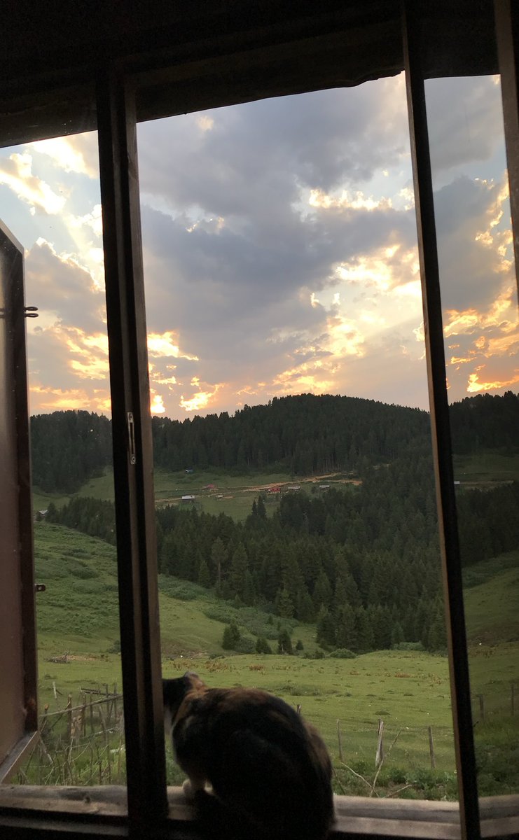 SevgiYanmaz's tweet photo. Abi cidden Karadeniz yaa https://t.co/4wXR4dzDGu