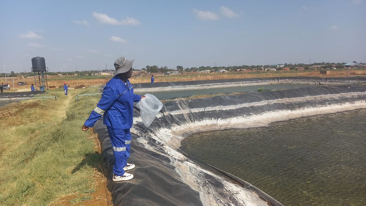 GenderLinks's tweet image. 📍 @nortontown | #LocalEconomicDevelopment
Empowering communities through aquaculture. 💧🐟
@GenderLinks hosts a Technical Backstopping Workshop to support Pure Catch Fishing Enterprise with strong governance, systems & sustainable growth.
@MoLGPWZim SUPPORTED BY: @SwedeninZW