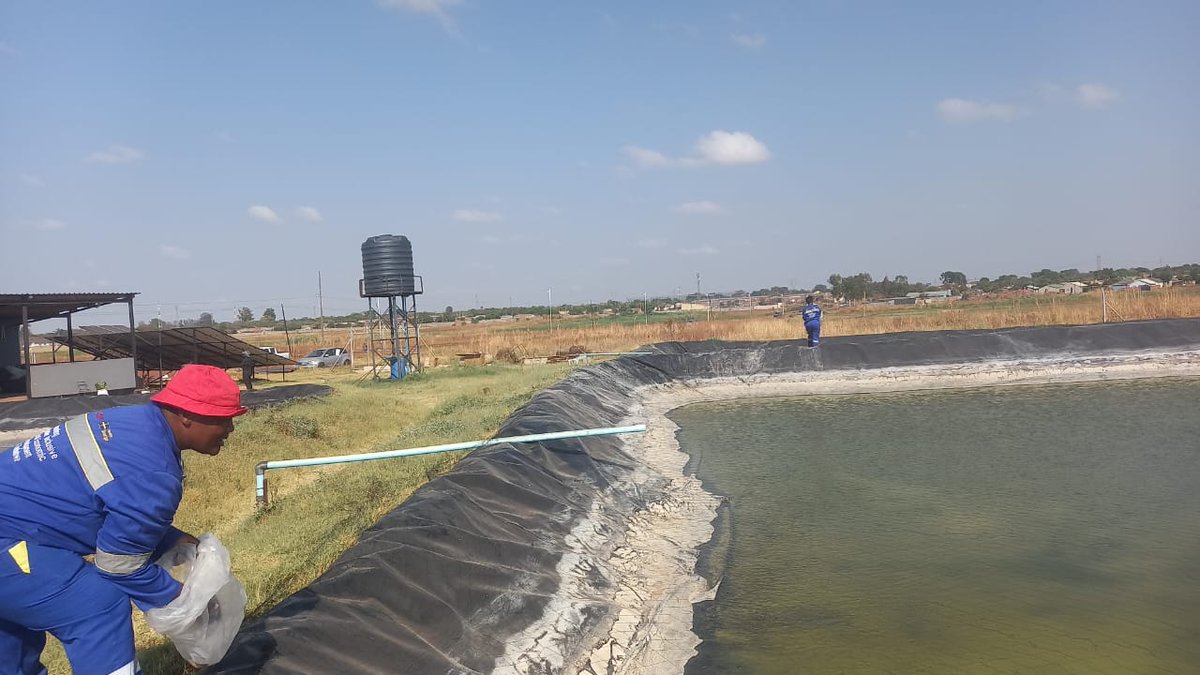 GenderLinks's tweet image. 📍 @nortontown | #LocalEconomicDevelopment
Empowering communities through aquaculture. 💧🐟
@GenderLinks hosts a Technical Backstopping Workshop to support Pure Catch Fishing Enterprise with strong governance, systems & sustainable growth.
@MoLGPWZim SUPPORTED BY: @SwedeninZW