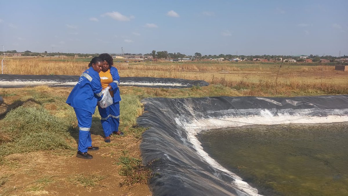 GenderLinks's tweet image. 📍 @nortontown | #LocalEconomicDevelopment
Empowering communities through aquaculture. 💧🐟
@GenderLinks hosts a Technical Backstopping Workshop to support Pure Catch Fishing Enterprise with strong governance, systems & sustainable growth.
@MoLGPWZim SUPPORTED BY: @SwedeninZW