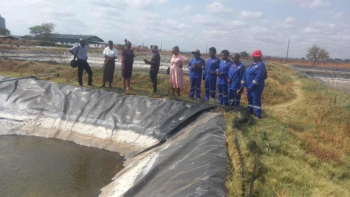 GenderLinks's tweet image. 📍 @nortontown | #LocalEconomicDevelopment
Empowering communities through aquaculture. 💧🐟
@GenderLinks hosts a Technical Backstopping Workshop to support Pure Catch Fishing Enterprise with strong governance, systems & sustainable growth.
@MoLGPWZim SUPPORTED BY: @SwedeninZW