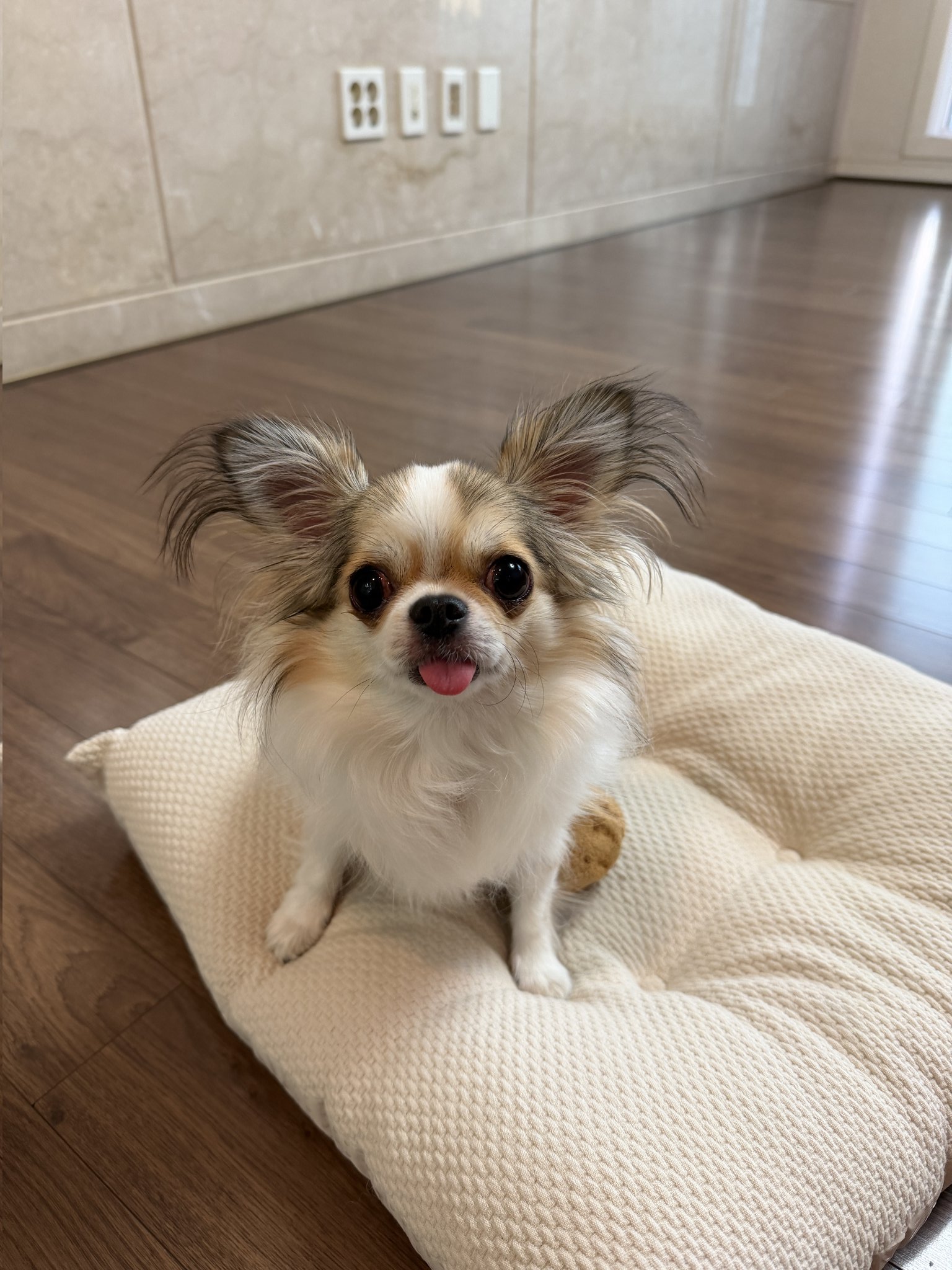 MONSTA X 10周年 514 Berriz イベント トレカ キヒョン MONSTA X