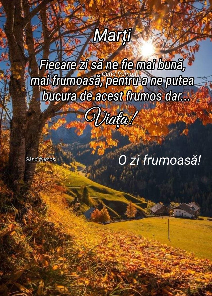 O după-amiază frumoasă și liniștită vă doresc tuturor alături de cei dragi vouă!🍂🍂🍂