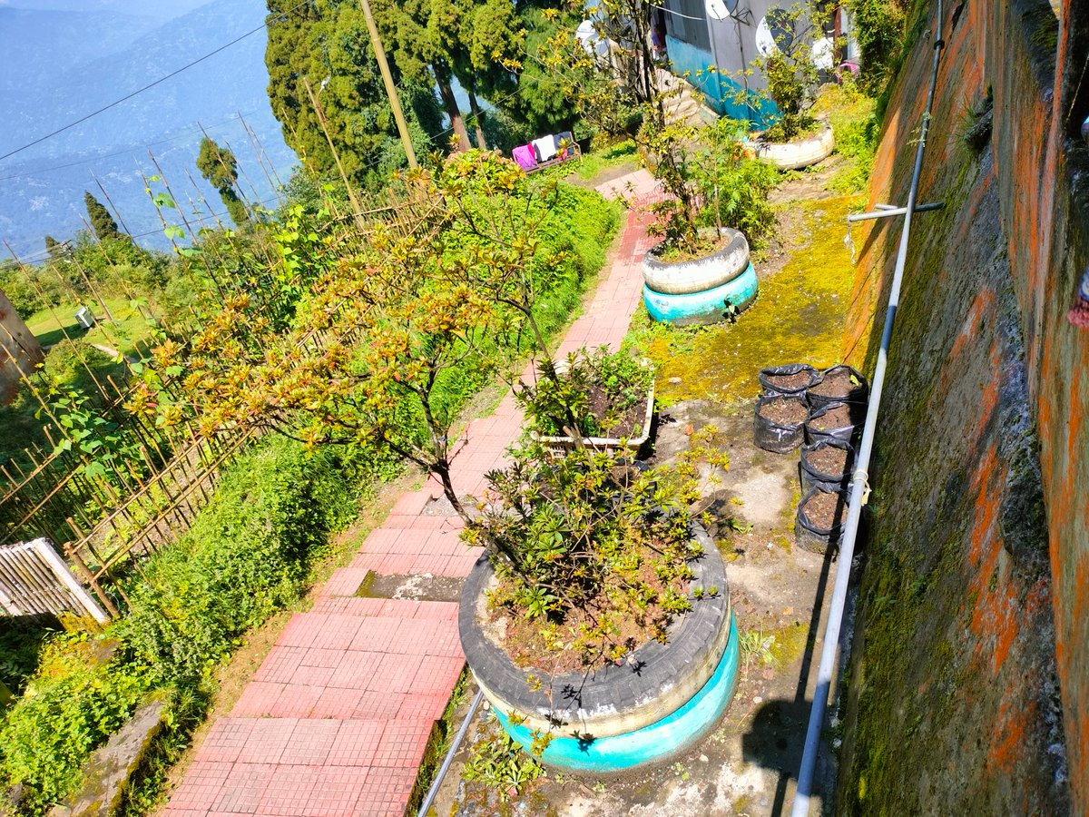 JALAPAHAR CANTT BOARD tweet media