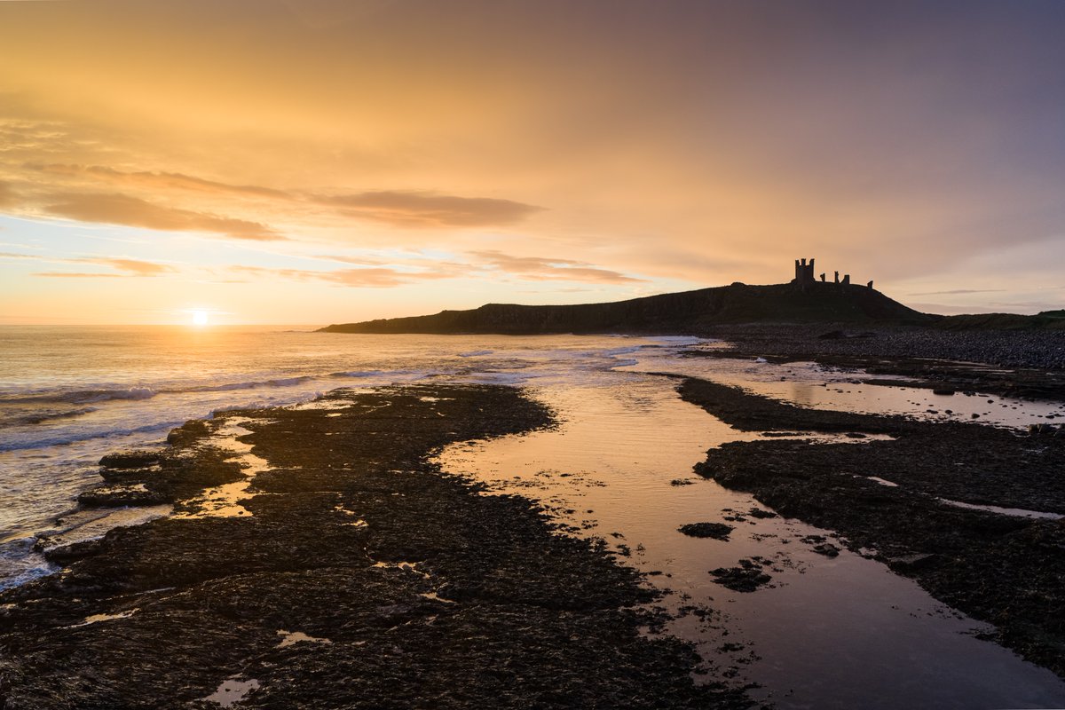 Nigel Danson tweet media