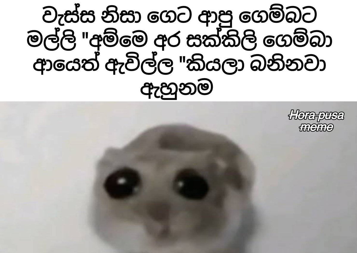 nipuna__d's tweet image. හඤේ 🥴
