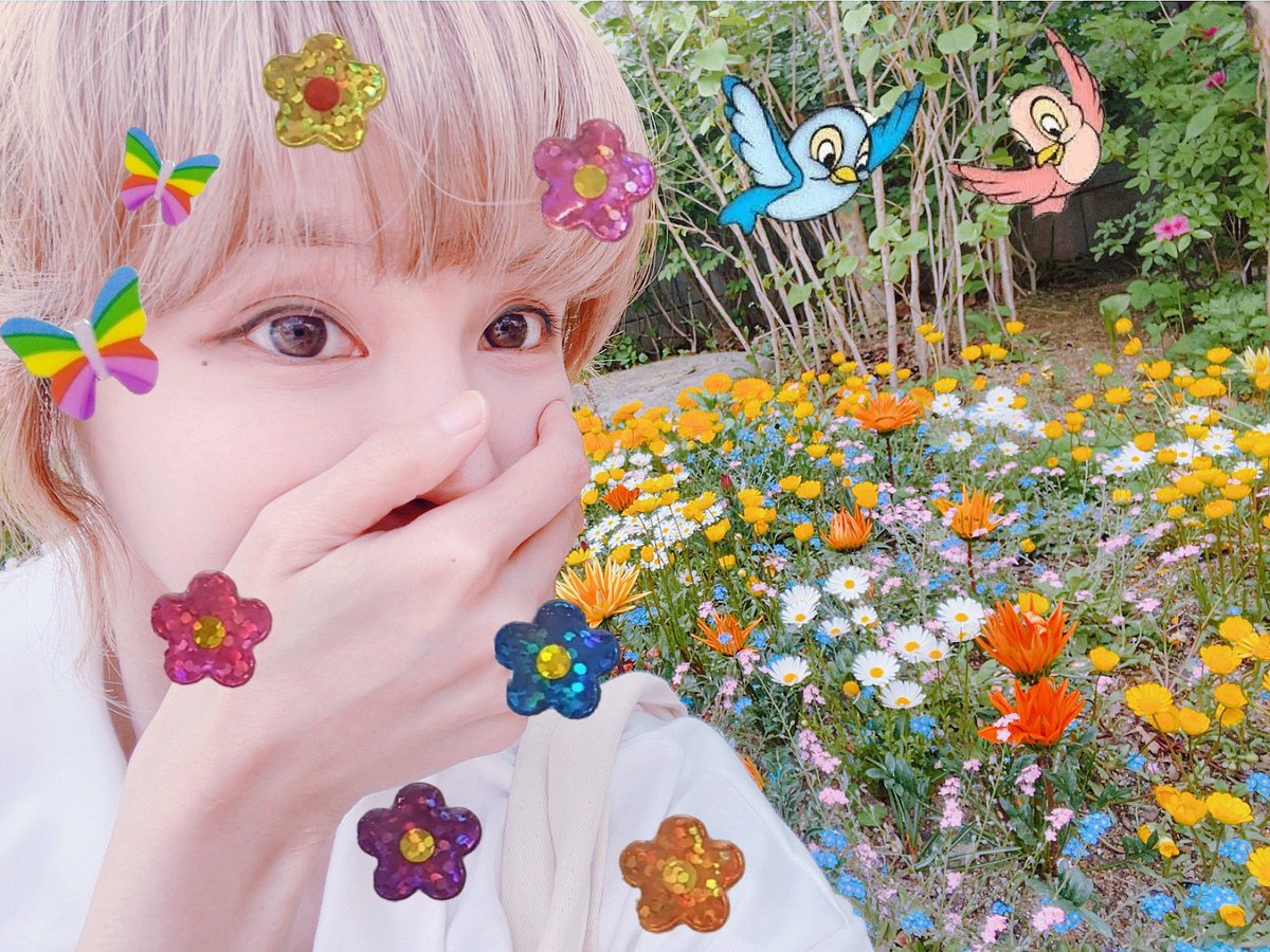 Jeon Bo Ram tweet media
