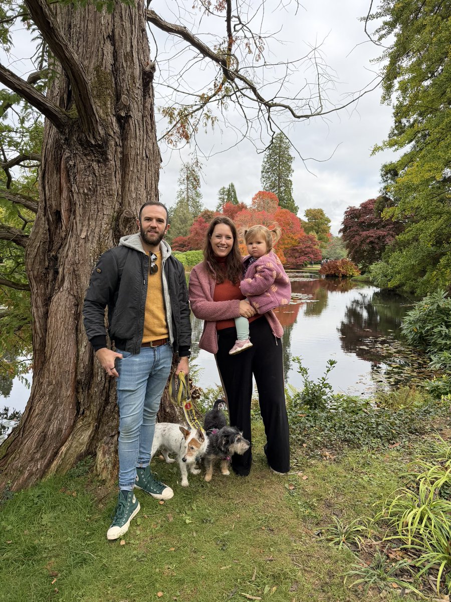 clambofficial's tweet photo. Autumn walks 🍁🍂

A lovely trip back to @sheffieldparkNT to see all the beautiful autumn colours 🧡

#autumn #sheffieldpark #dogsandbaby https://t.co/6ZYcjLx8xY