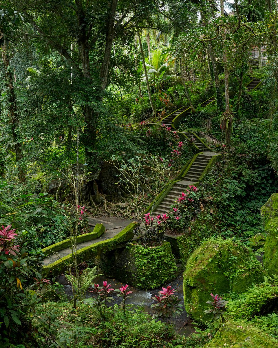 Llega el nuevo objetivo TAMRON 25-200mm F/2.8 - 5.6 Di III VXD G2 (Model A075S) E Mount. Más información: robisa.es/nuevo-tamron-2… <a href="/TamronObjektive/">Tamron Europe GmbH</a> #Tamron #Tamron25200 #A075 #TamronLens #TamronPhotography #WithMyTamron