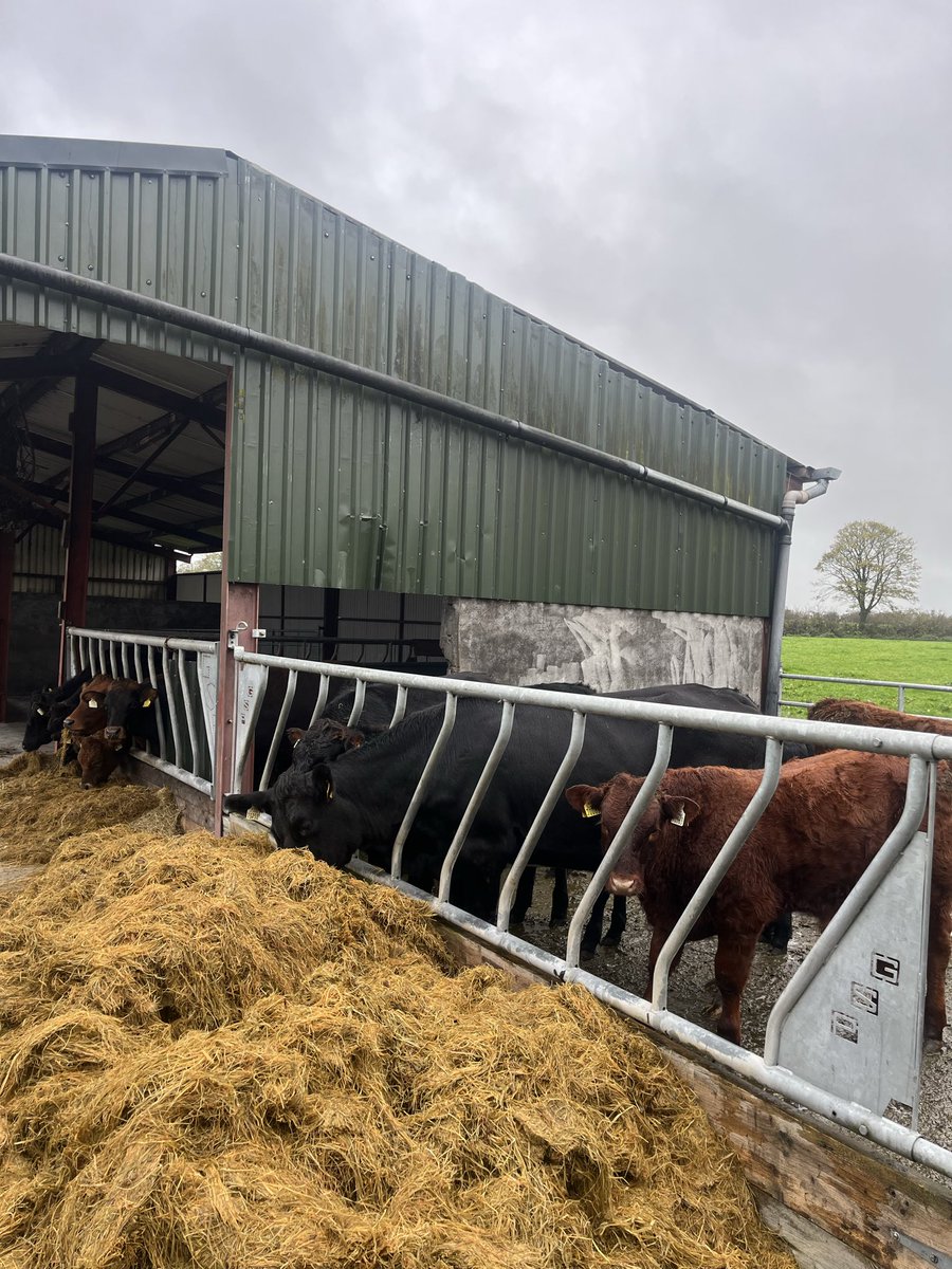 The start of silage season 2025!