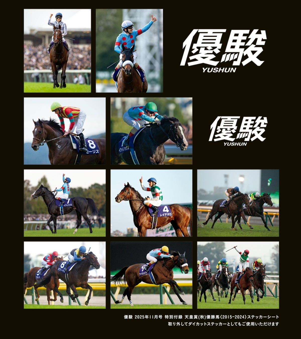 JRA 競馬 ゼッケン ハットトリック キャロット 香港競馬 限定販売品 記念品 JRA 競馬 ゼッケン ハットトリック キャロット 香港競馬 限定