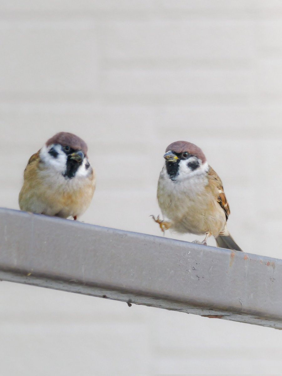 zunchun (@zunchun166893) / X