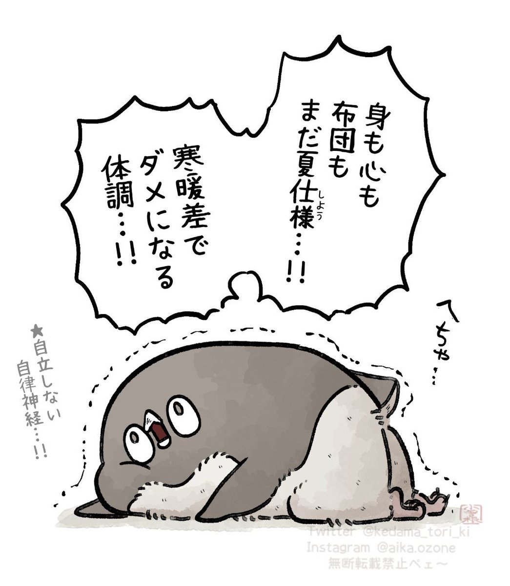 急に寒い…!!!!