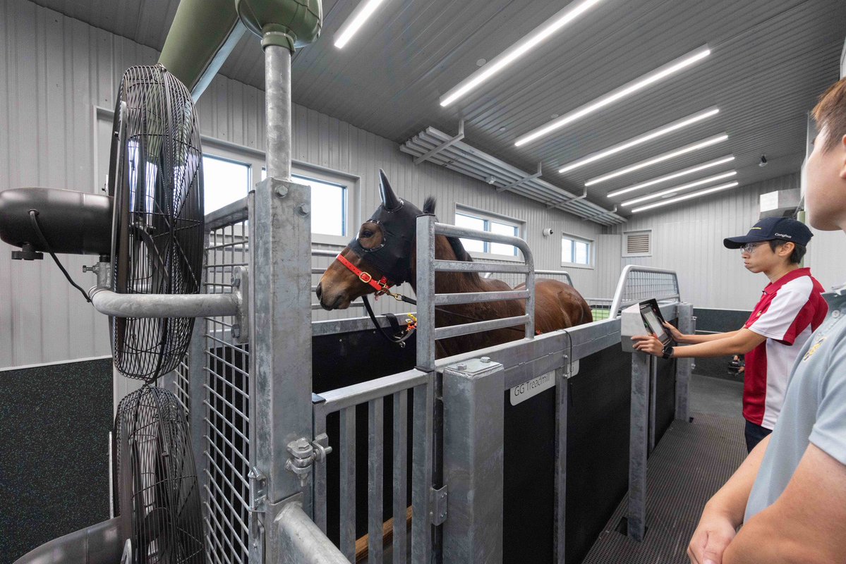 HKJC_Racing's tweet image. World-class upgrades enhance training environment for horses and riders. #HKracing 

Read here 👉 racingnews.hkjc.com/english/2025/1…