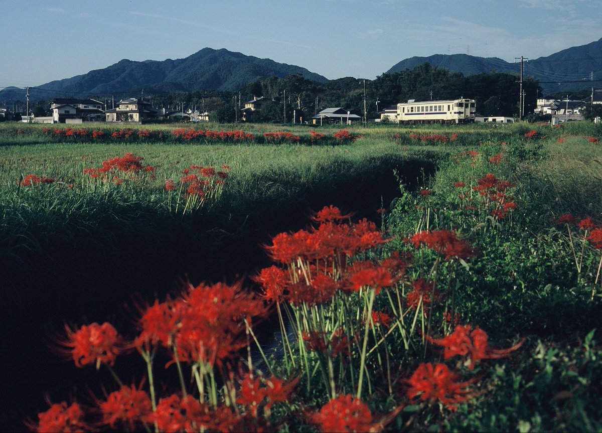 いけちゃん on X