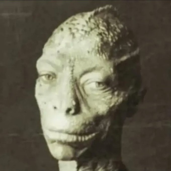 maniaUFO's tweet image. This photo appeared online about 5 years ago, according to the description it was taken many more years ago and represents a reptilian being in its original form although it can shapeshift into a human form and go unnoticed.... Real or Fake?🧐🤔🐲🐲🐲🐲🐲🐲🐲🐲
The image on the…