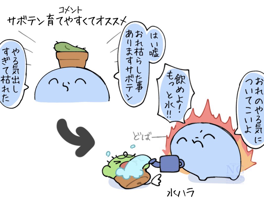 枯れたサボテン🌵