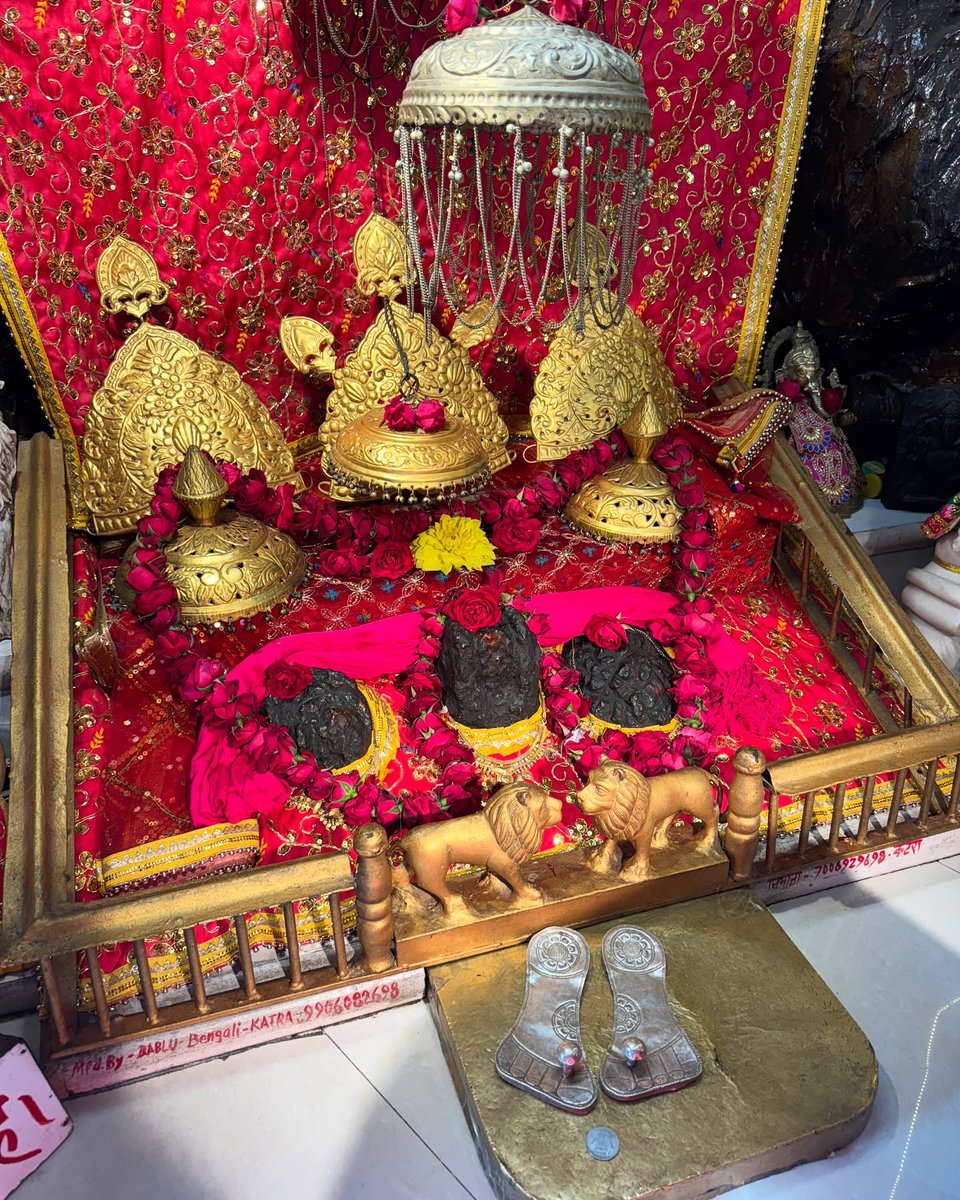 माता वैष्णो देवी जी के दिव्य अलौकिक दर्शन !