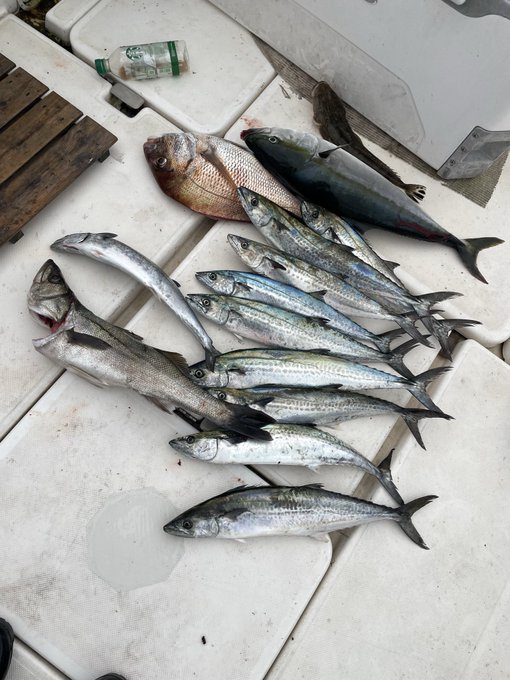 近場縛りでなんとか釣れた