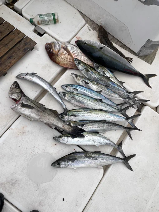 近場縛りでなんとか釣れた