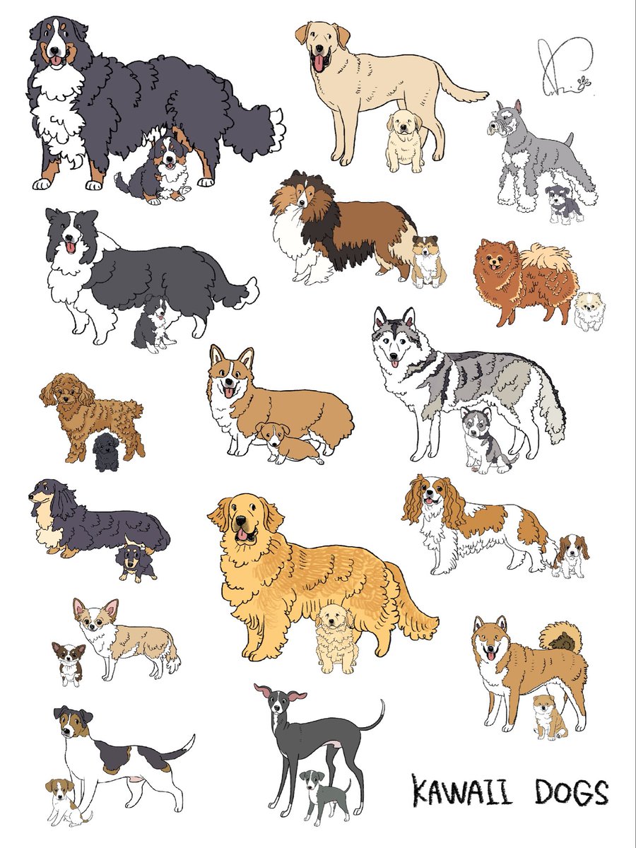 ♥むっち♥ ♡♬.*゜です(*^^*) 🦦眇眼🦦 (@1954love_hate_) / Posts / X