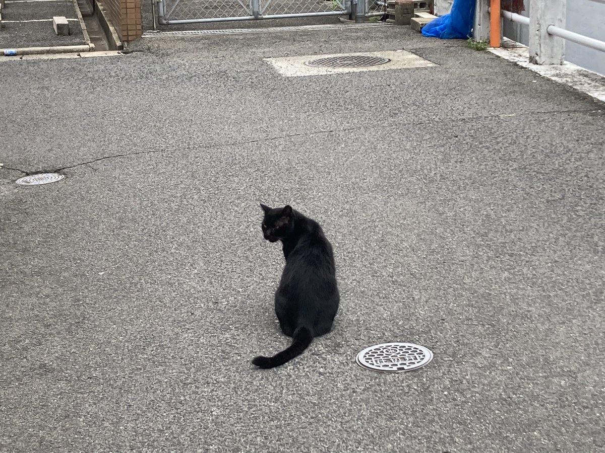 本日の営業は終了です。
お越しいただいたお客さま、ありがとうございました。月末が近づき、銀行で振り込みしてたらあっという間にすっからかんです。また本を売って稼がなくては。

今週ですが、24(金)を臨休するため、
次回の営業は27(月)となります。
12:00-18:00.オープンです。