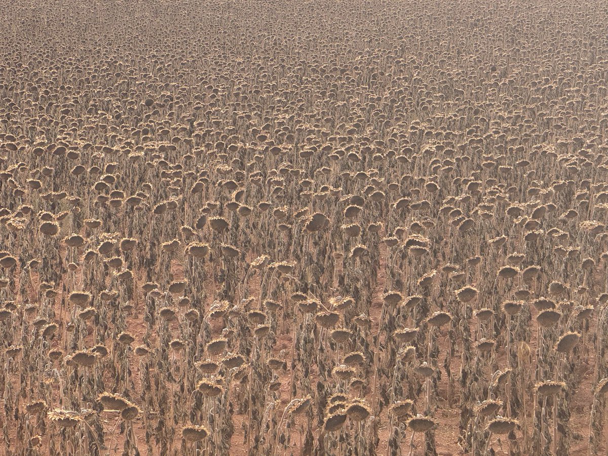 ARES (@ares1936) on Twitter photo 